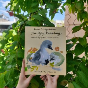 The Ugly Duckling - Kevin Crossley-Holland